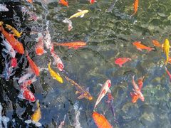 -太子园林酒家