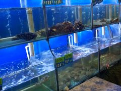 水产区-启东小海鲜(庄先湾路1号店)