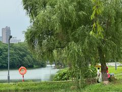 -洋湖国家湿地公园