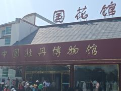 -曹州牡丹园