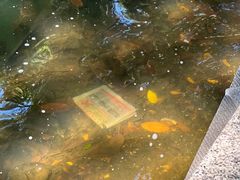 -荔湾湖公园