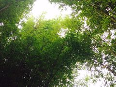 iphone_upload_pic-新竹里馆·花园餐厅(兴苑路店)