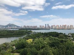 -厦门园林博览苑