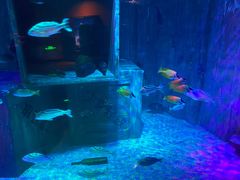 -沈阳海洋探索中心