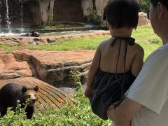 -海南热带野生动植物园