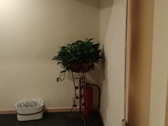-悦享采耳·洗头头疗·推拿SPA(海沧万科旗舰店)