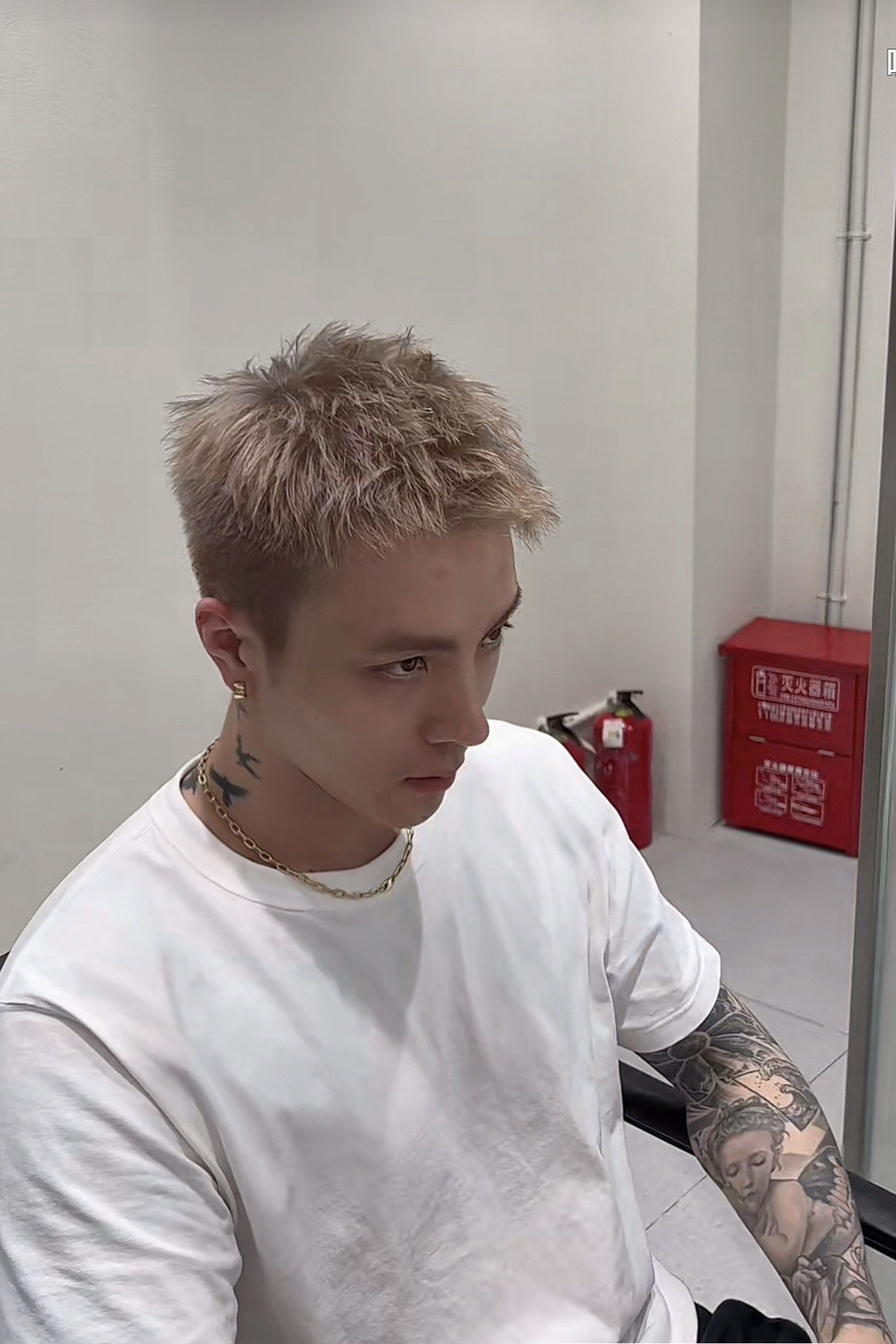 男士染发棕灰色奶茶色