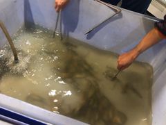 -芭提雅Amporn Seafood自助餐厅