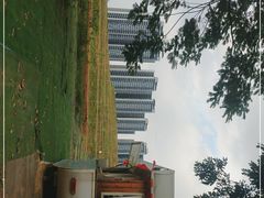 -光明小镇欢乐田园
