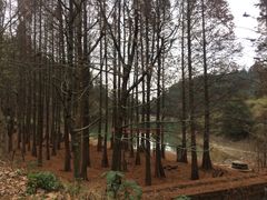 -天花井景区