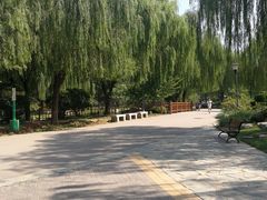 -燕郊植物园