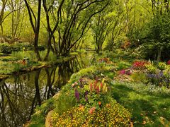 -上海共青森林公园