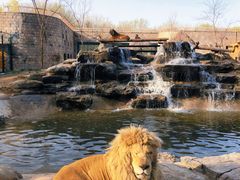 -北京野生动物园