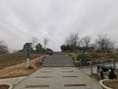 -羊山湖公园