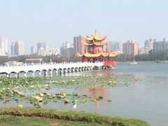 -龙虎塔