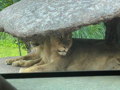 -北京野生动物园