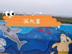 -南汇嘴观海公园