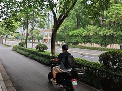 -杨氏青龙虾·羊蝎子(珠江路店)