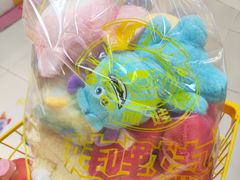 -大鲁阁保龄球(苏州园区店)