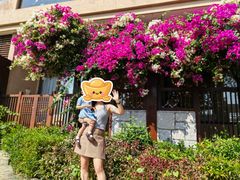 -三亚亚龙湾红树林度假酒店