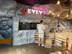 -Zoolung Zoolung动物主题公园(海信广场店)