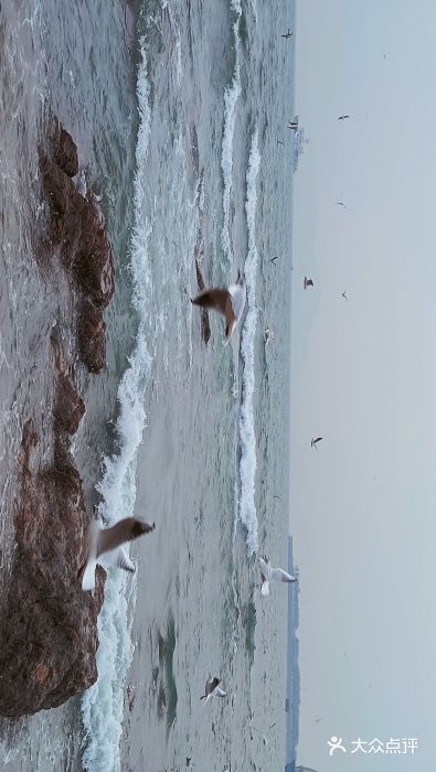 栈桥景区图片