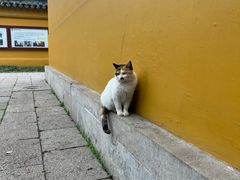 -西园戒幢律寺