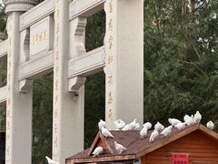 -天津妈祖文化园