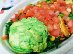 -油梨树AVOCADO TREE(望京店)
