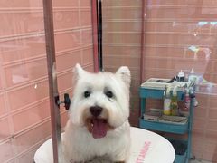 -FAELING PETS美天灵宠物(合生汇店)