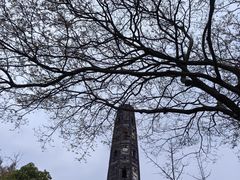 -上海佘山国家森林公园天马山园