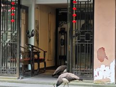 -都江堰普照寺