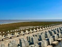 -南汇嘴观海公园