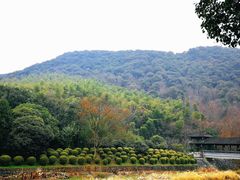 -兰亭风景区
