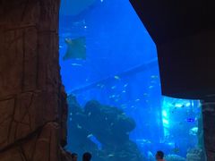 -成都浩海立方海洋公园