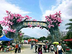 -天适樱花悠乐园