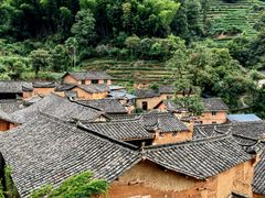 -杨家堂村