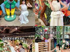 -正佳雨林生态植物园
