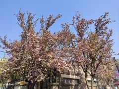 -天津五大道文化旅游区