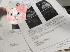 -北京赛佳动物医院