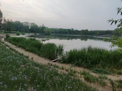 -北坞公园