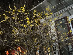 -杭州西湖风景名胜区-满觉陇四眼井