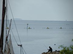 -贡湖湾湿地公园