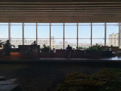 -Seesaw Coffee(朝阳大悦城店)