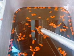 -红鼻子桂林米粉(金唐新光界店)