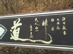 -陕西省红河谷森林公园
