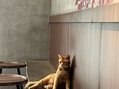 -Again Coffee Roaster(香蜜湖店)