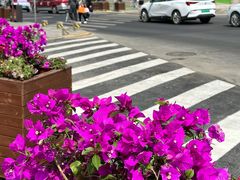 -上街里市集(悦喜客来广场店)