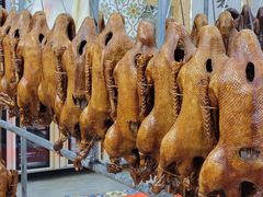 -日日香卤鹅饭店·澄海狮头鹅(澄海店)