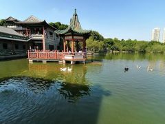 -东莞市可园博物馆